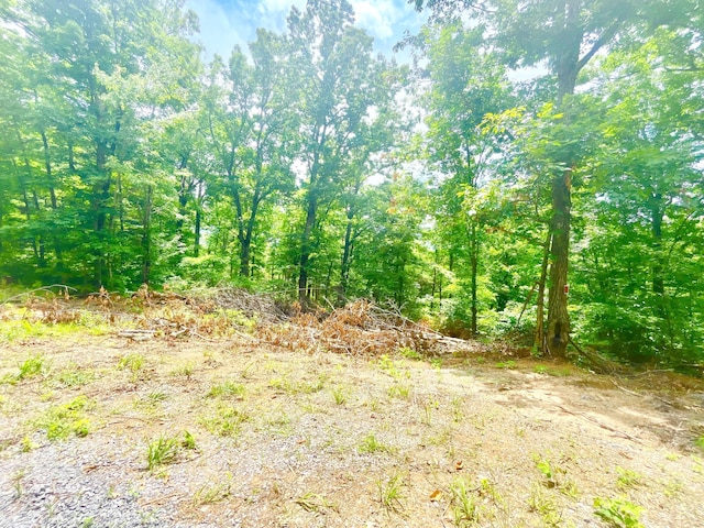 1242 Sourwood Honey Dr, Sevierville, TN 37876