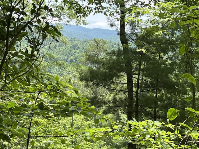 0-C Gulf Rd, Hartford, TN 37753
