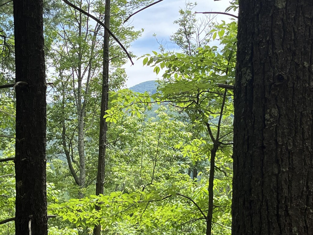 0-C Gulf Rd, Hartford, TN 37753