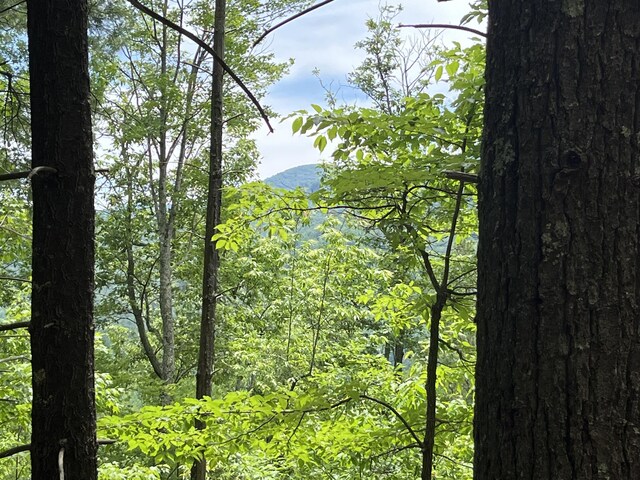 0-C Gulf Rd, Hartford, TN 37753