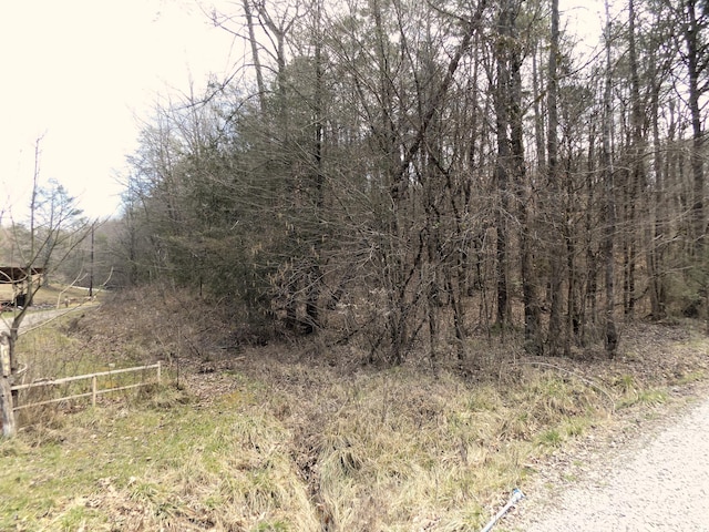 Listing photo 3 for LOT50/51 Deerfoot Rd, Cosby TN 37722