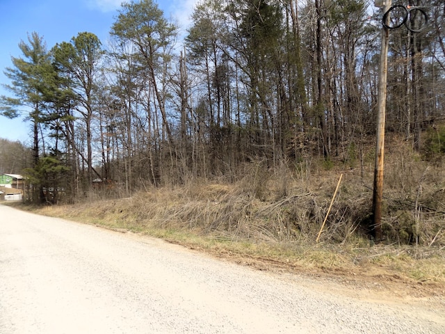 LOT50/51 Deerfoot Rd, Cosby TN, 37722 land for sale