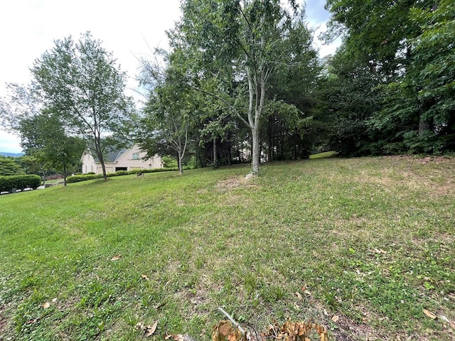 1033 St Ives Ct, Morristown TN, 37814 land for sale