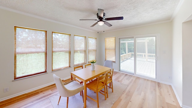 1169 E Old Andrew Johnson Hwy, Talbott, TN 37877 - photo 8