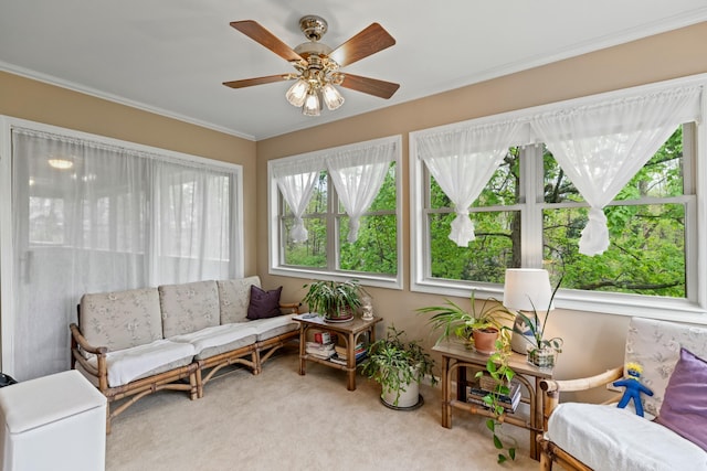 961 Woodway Dr, Morristown, TN 37814 - view of sunroom / solarium