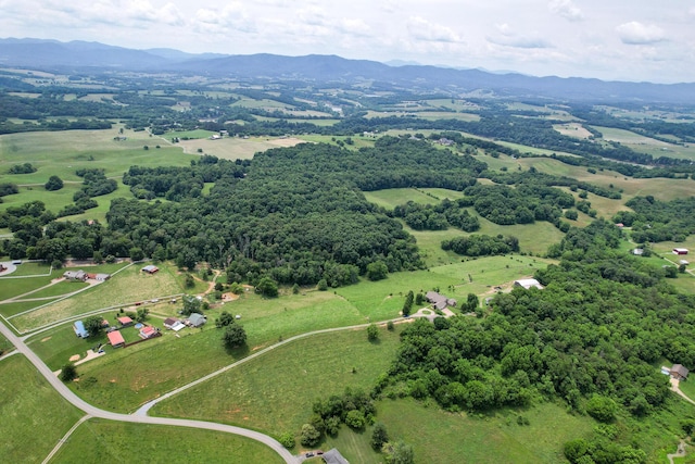 1120 S Old Kentucky Rd S, Greeneville, TN 37743 - photo 148