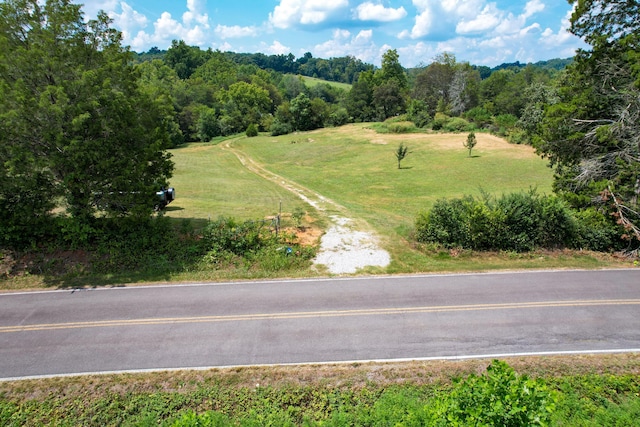 TRACTS12 Zirkle Rd, Dandridge TN, 37725 land for sale