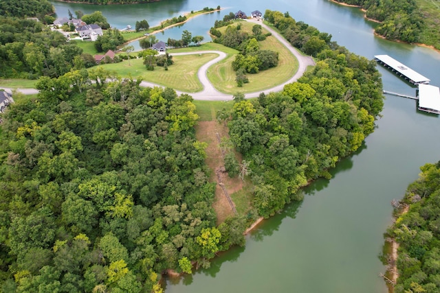 2054 Turner Landing Rd, Russellville, TN 37860 - photo 5
