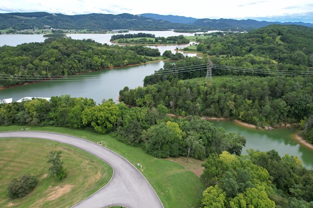 2054 Turner Landing Rd, Russellville, TN 37860 - photo 8