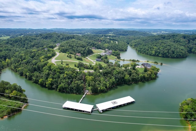 2054 Turner Landing Rd, Russellville, TN 37860 - photo 18