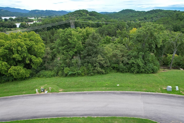 2054 Turner Landing Rd, Russellville, TN 37860 - photo 11