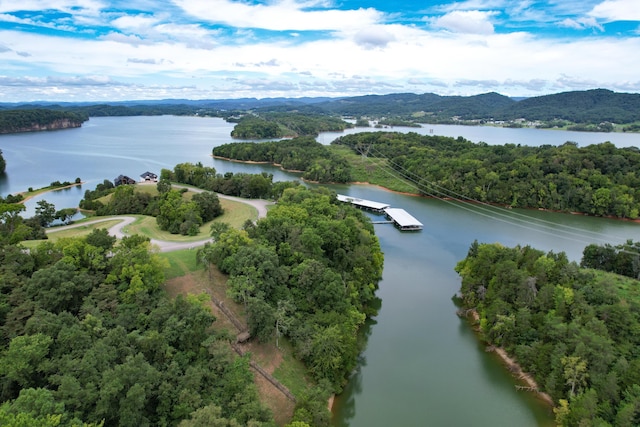 2054 Turner Landing Rd, Russellville, TN 37860 - photo 17