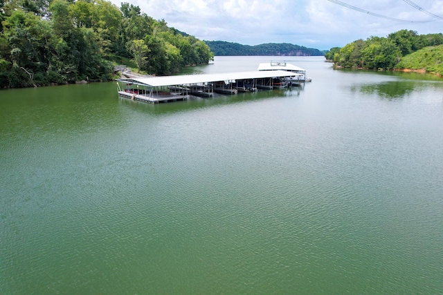 2054 Turner Landing Rd, Russellville, TN 37860 - photo 23