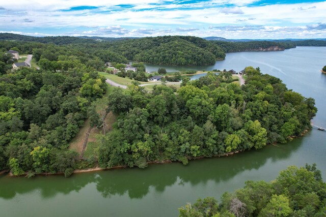 2054 Turner Landing Rd, Russellville, TN 37860 - photo 14