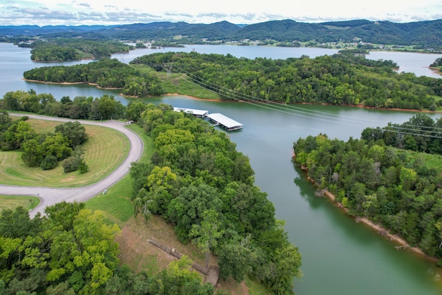 2054 Turner Landing Rd, Russellville, TN 37860 - photo 16