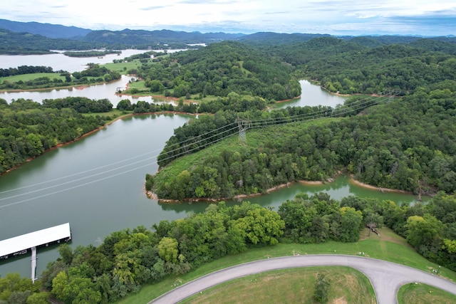 2054 Turner Landing Rd, Russellville, TN 37860 - photo 9