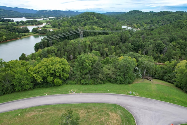 2054 Turner Landing Rd, Russellville, TN 37860 - photo 10