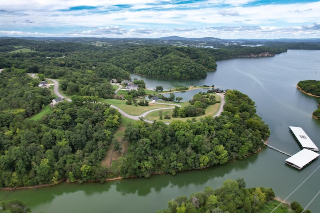 2054 Turner Landing Rd, Russellville, TN 37860 - photo 13