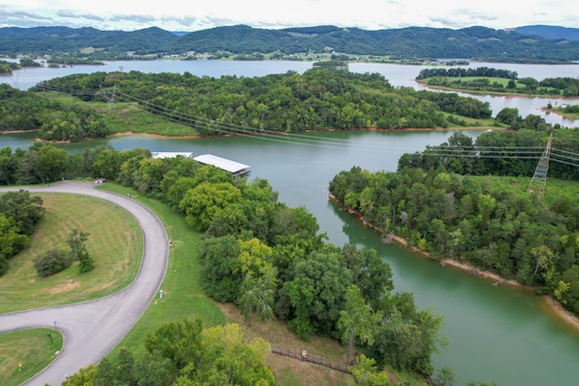 2054 Turner Landing Rd, Russellville, TN 37860 - photo 6