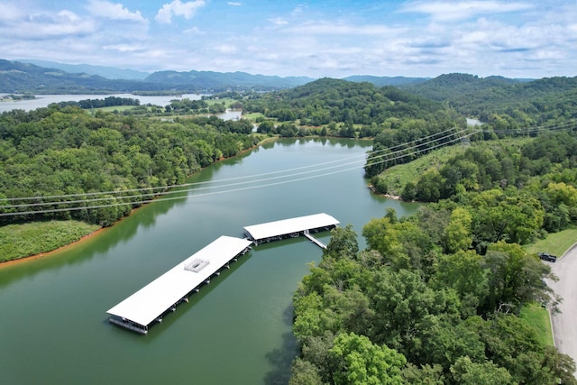 2054 Turner Landing Rd, Russellville, TN 37860 - photo 21
