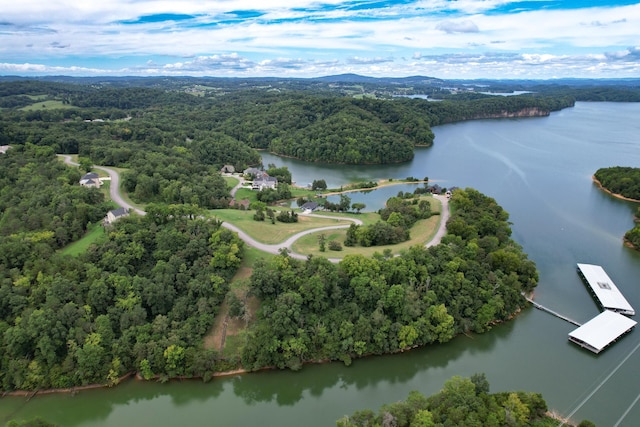 2054 Turner Landing Rd, Russellville, TN 37860 - photo 28