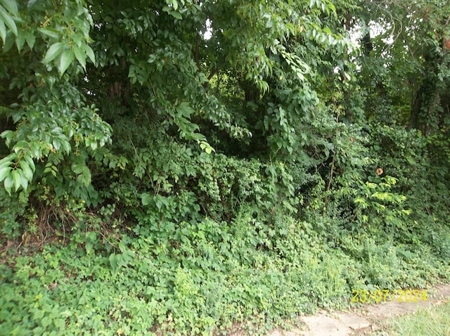 00 Bays View Rd, Kingsport, TN 37660