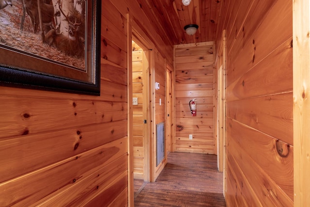 hallway featuring dark wood-type flooring and wooden walls