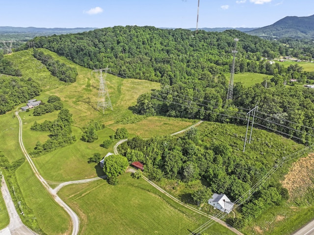 10741 Rutledge Pike, Blaine, TN 37709 - aerial view of property and surrounding area with a forest and a mountainous background