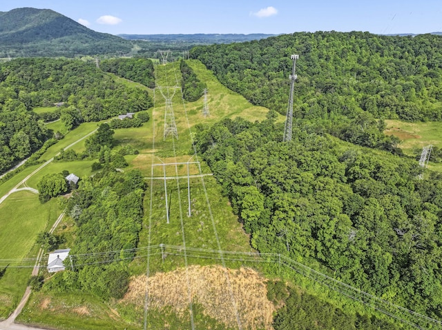 10741 Rutledge Pike, Blaine, TN 37709 - view of property location with a forest