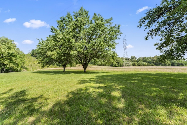 10741 Rutledge Pike, Blaine, TN 37709 - view of grassy yard