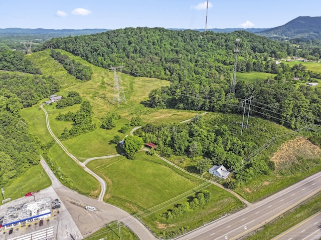10741 Rutledge Pike, Blaine, TN 37709 - aerial view of property's location with a heavily wooded area and a mountainous background