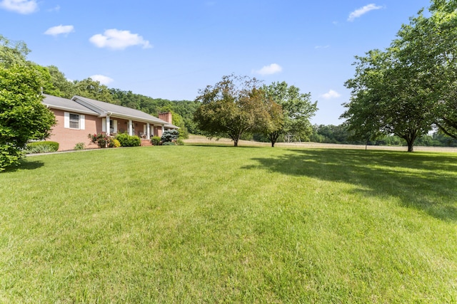 10741 Rutledge Pike, Blaine, TN 37709 - view of grassy yard