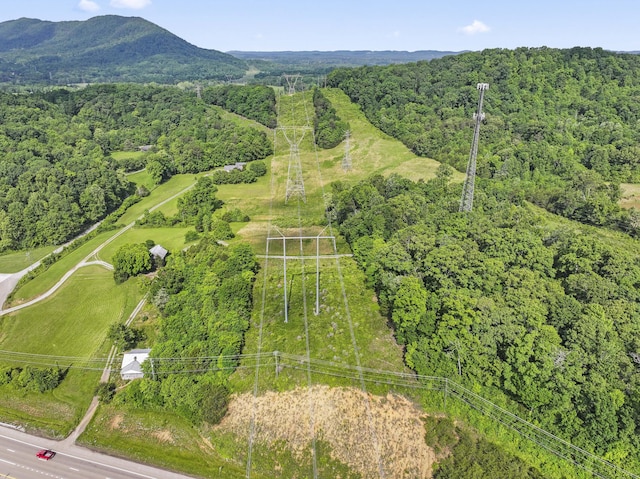 10741 Rutledge Pike, Blaine, TN 37709 - aerial view of property's location featuring a heavily wooded area