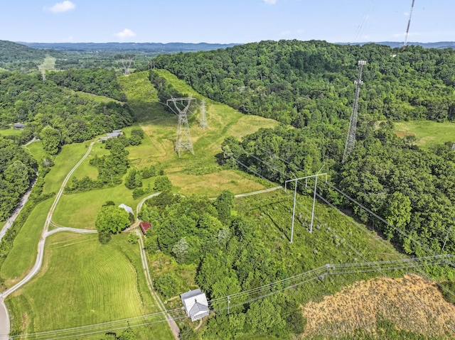 10741 Rutledge Pike, Blaine, TN 37709 - bird's eye view of a forest