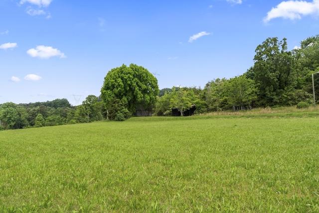 10741 Rutledge Pike, Blaine, TN 37709 - view of green lawn with a wooded view