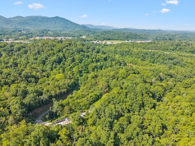 251 Huff Hollow Rd, Newport, TN 37821 - photo 78