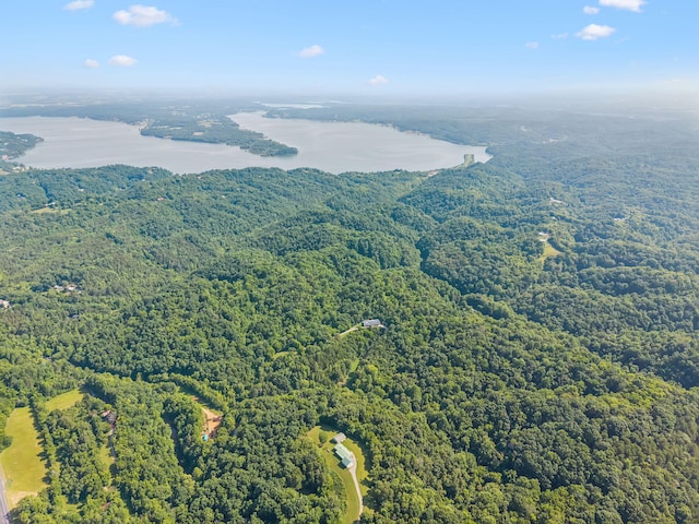 251 Huff Hollow Rd, Newport, TN 37821 - photo 96