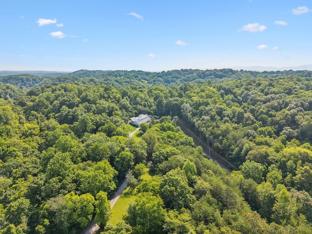 251 Huff Hollow Rd, Newport, TN 37821 - photo 74