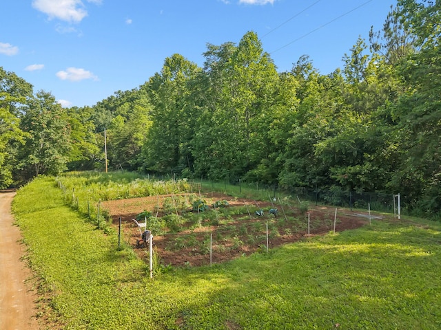 251 Huff Hollow Rd, Newport, TN 37821 - photo 70