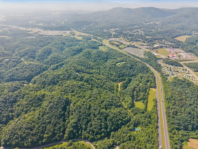 251 Huff Hollow Rd, Newport, TN 37821 - photo 87