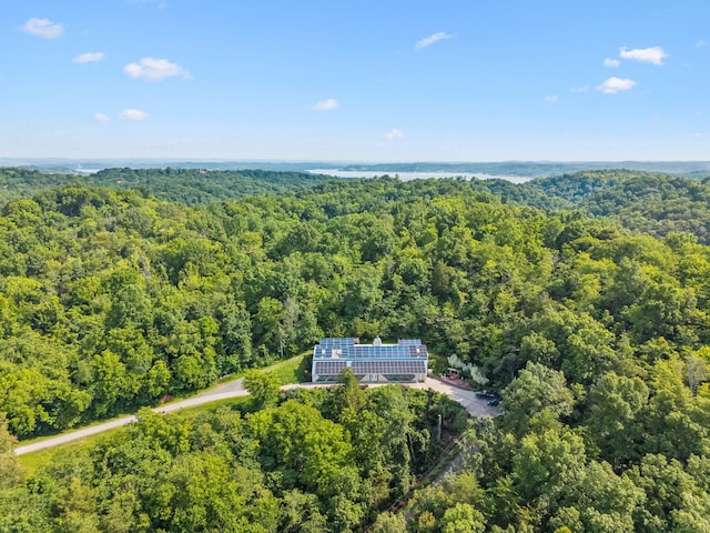251 Huff Hollow Rd, Newport, TN 37821 - photo 6