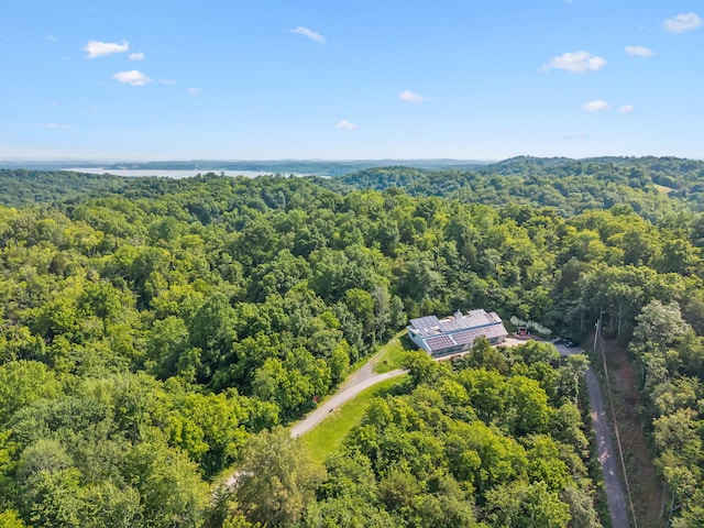 251 Huff Hollow Rd, Newport, TN 37821 - photo 7