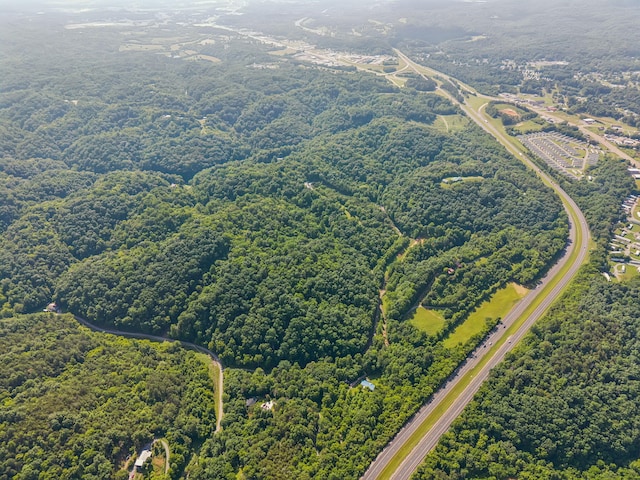 251 Huff Hollow Rd, Newport, TN 37821 - photo 89