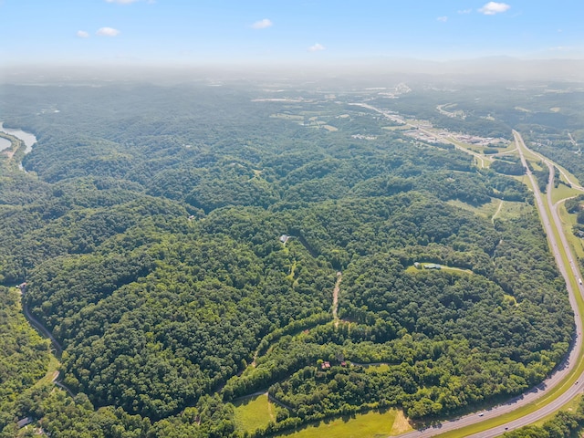 251 Huff Hollow Rd, Newport, TN 37821 - photo 93
