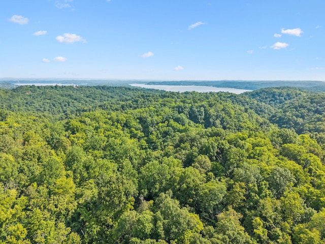 251 Huff Hollow Rd, Newport, TN 37821 - photo 76