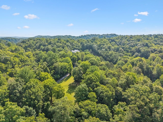 251 Huff Hollow Rd, Newport, TN 37821 - photo 73