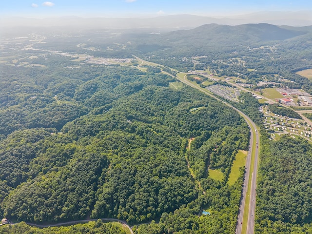 251 Huff Hollow Rd, Newport, TN 37821 - photo 88