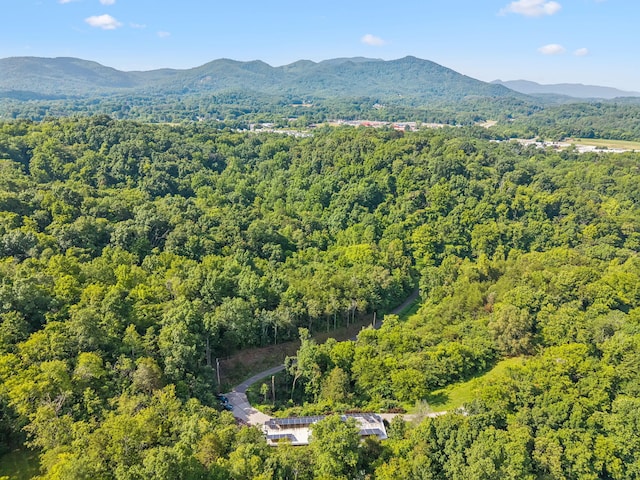 251 Huff Hollow Rd, Newport, TN 37821 - photo 77