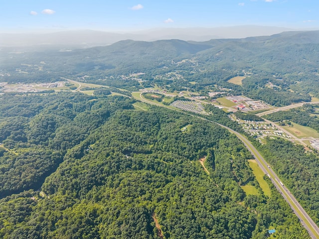 251 Huff Hollow Rd, Newport, TN 37821 - photo 85