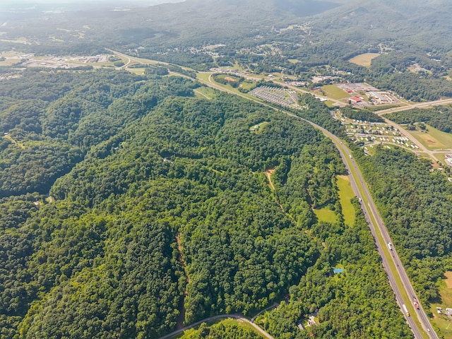 251 Huff Hollow Rd, Newport, TN 37821 - photo 86